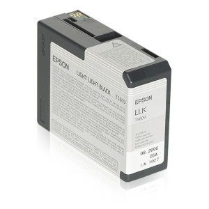 Epson Cartucho T580900 gris claro