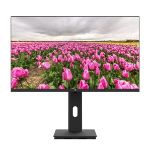 V7 Monitor LED IPS de 1920 × 1080 Full HD de 23.8″
