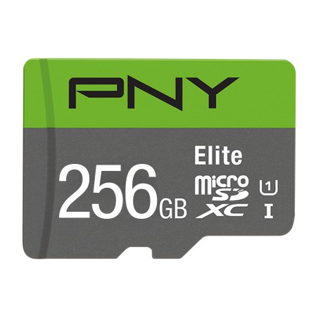 Elite 256 GB MicroSDXC UHS-I Clase 10