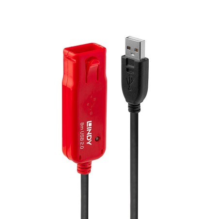 Lindy 42780 adaptador e inversor de corriente Negro