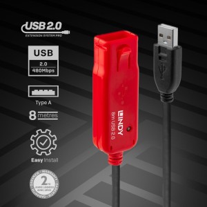 Lindy 42780 adaptador e inversor de corriente Negro