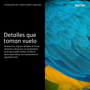 Xerox B310 B305 B315 Cartucho de tóner NEGRO de capacidad extra (20000 páginas)