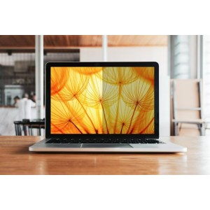 3M BP160W1B filtro para monitor 40,6 cm (16") Portátil Filtro de privacidad para pantallas sin marco