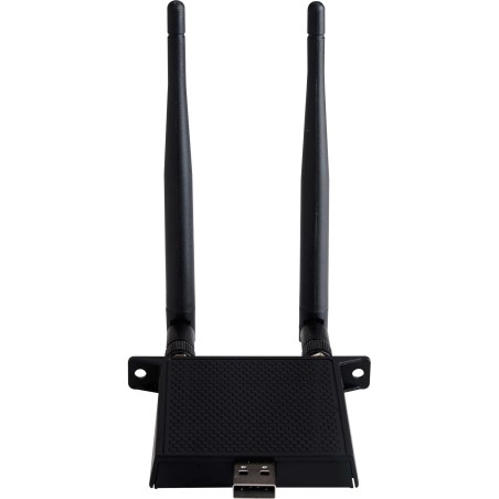 Viewsonic VB-WIFI-001 adaptador y tarjeta de red WLAN   Bluetooth