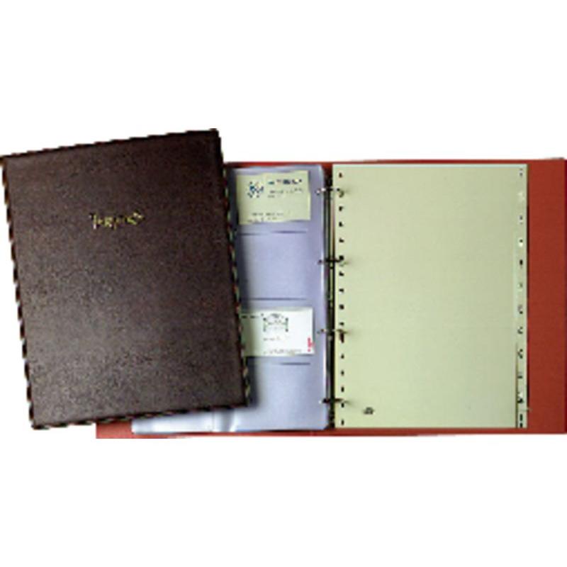 PAR RECAMBIO 10 FUNDAS 212800