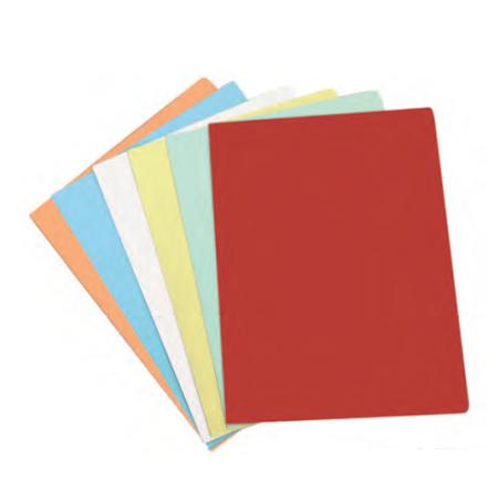 400040853 carpeta Rojo