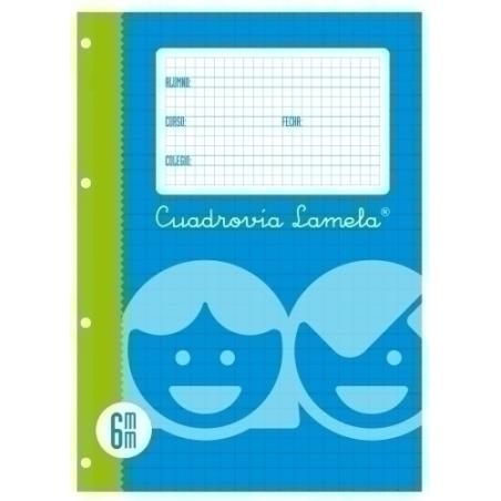 LAMELA RECAMBIO 4º 100h CDV. 6 - Pack de 10 unidades