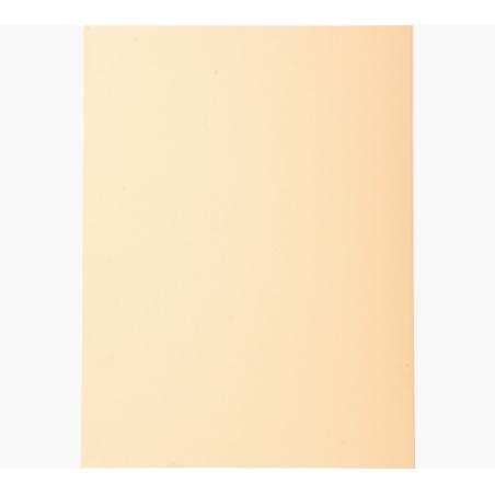 410002E carpeta Caja de cartón A4