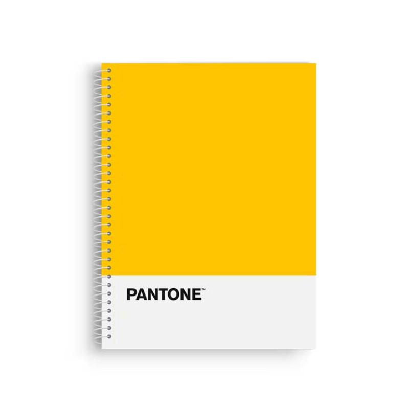 BLOCK ESCOL.PANTONE A4 BASIC 80h 5x5 AM