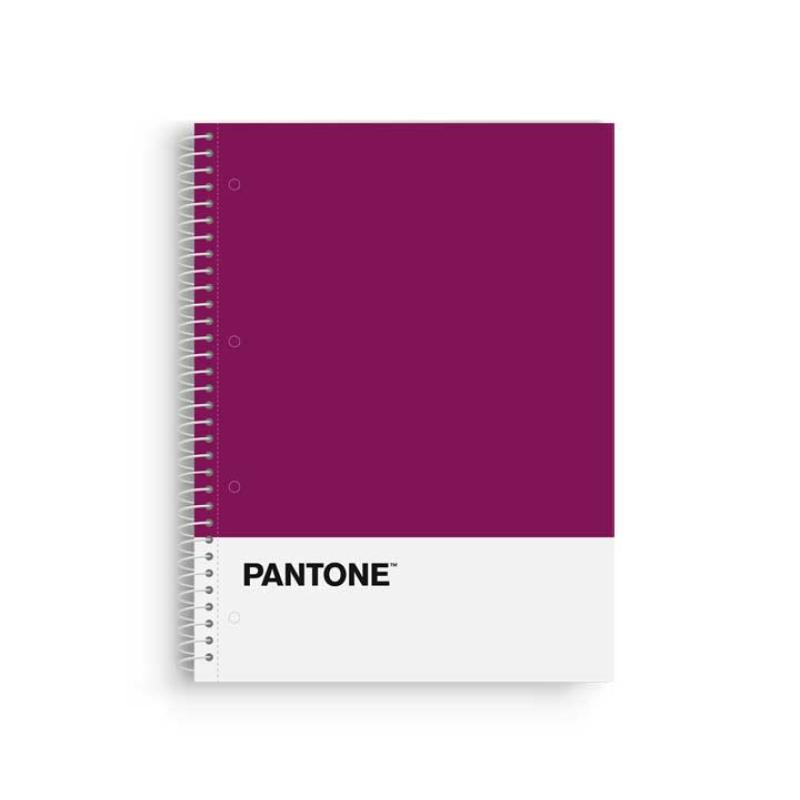 BLOCK ESCOL.PANTONE A4 BASIC 80h 5x5 VL