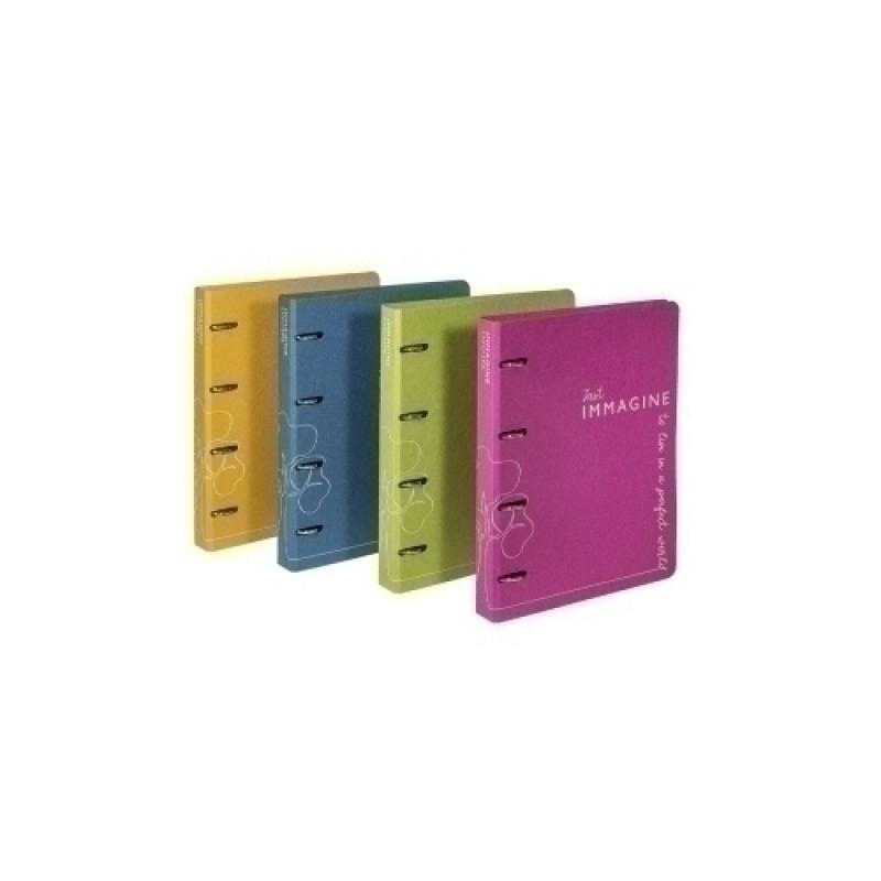 CARPETA CARCHIVO IMM. A4 2 AN.25 SURTIDO - Pack de 10 unidades