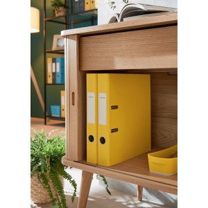 Leitz 10620019 carpeta de cartón A4 Amarillo
