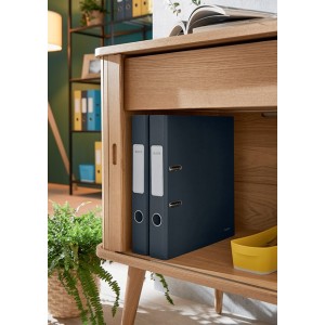 Leitz 10620089 carpeta de cartón A4 Negro