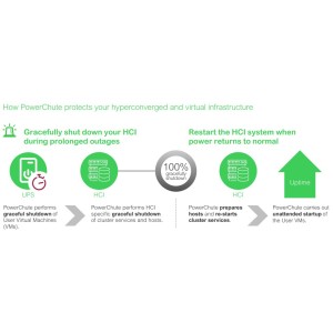 APC SWPCNS3Y-DIGI licencia y actualización de software Inglés 3 año(s)