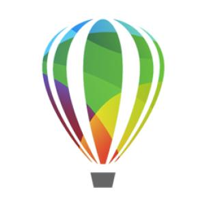 LCCDTS2025BPL12 licencia y actualización de software Académico 1 licencia(s) 1 año(s) 12 mes(es)