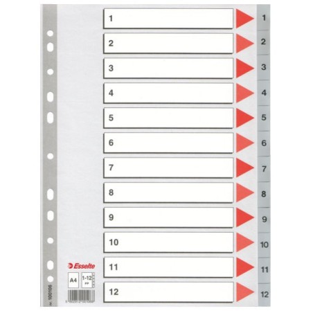 Esselte Plastic indexes