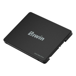 Biwin M100 512 GB 2.5" Serial ATA III