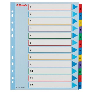 Esselte 100209 ficha Multicolor 12 pieza(s)