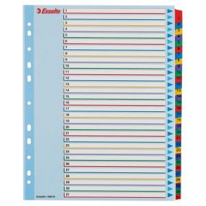 Esselte 100210 ficha Multicolor 31 pieza(s)