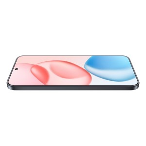 Honor 400 16,6 cm (6.55") MagicOS 9.0 5G 8 GB 256 GB 5300 mAh Negro