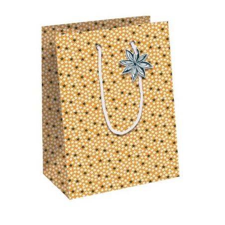 BOLSA PAPEL KRAFT 25x22 CITRICOS P/6