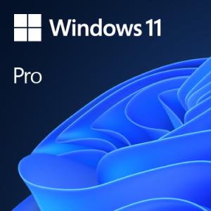 Windows 11 Pro 1 licencia(s)
