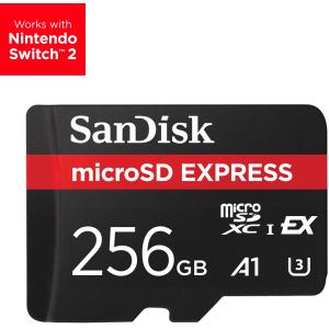 Express 256 GB MicroSDXC UHS-I