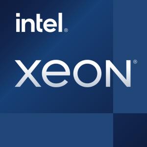 Xeon E-2378G procesador 2,8 GHz 16 MB Smart Cache Bandeja