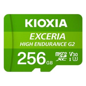 Exceria 256 GB MicroSD UHS-I Clase 10