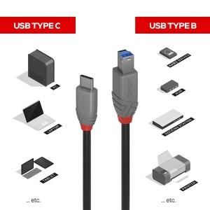 Lindy 36665 cable USB USB 3.2 Gen 1 (3.1 Gen 1) 0,5 m USB C USB B Negro