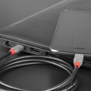 Lindy 36893 cable USB USB 2.0 3 m USB C Micro-USB B Negro