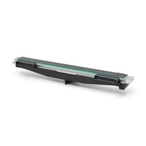 Zebra P1112640-218 cabeza de impresora Transferencia térmica