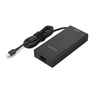 Lenovo GX21T68202 adaptador e inversor de corriente Interior 400 W Negro