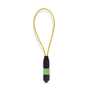 StarTech.com Adaptador Bucle Invertido MPO-12 Monomodo 9 125 MPO MTP Hembra - Probador Bucle Invertido MPO MTP Hembra -