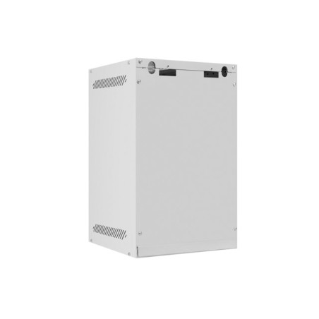 WF10-2309-10S armario rack 9U Bastidor de pared Gris