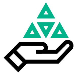 1Y Foundation Care 1 año(s)