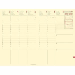 286010Q accesorio para organizador personal