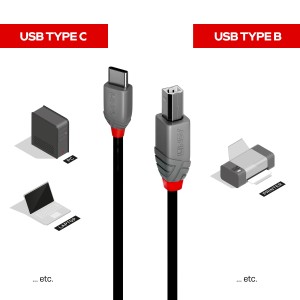 Lindy 36942 cable USB USB 2.0 2 m USB C USB B 0,48 Gbit s Negro