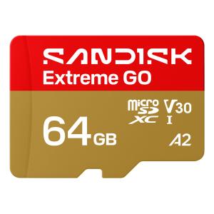 Extreme GO 64 GB MicroSDXC UHS-I