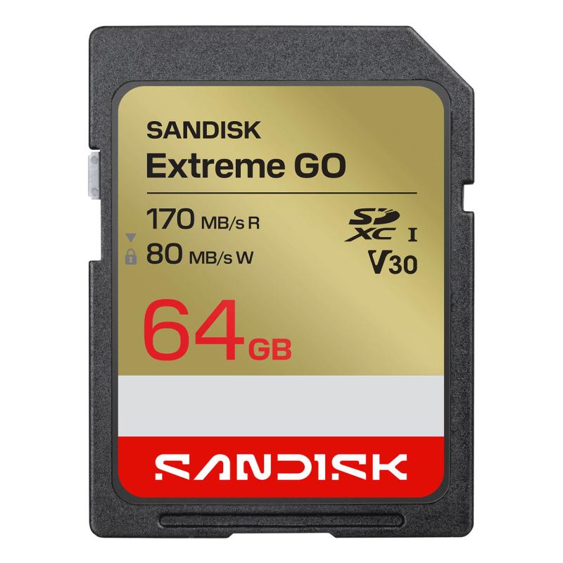 Extreme GO 64 GB SDXC UHS-I