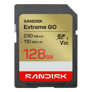Extreme GO 128 GB SDXC UHS-I