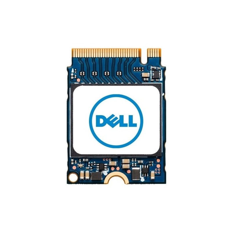 DELL AC280179 1 TB M.2 PCI Express 4.0 NVMe