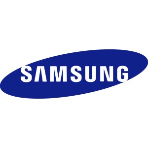 Samsung P-LM-2NXX46H extensión de la garantía 1 licencia(s) 2 año(s)